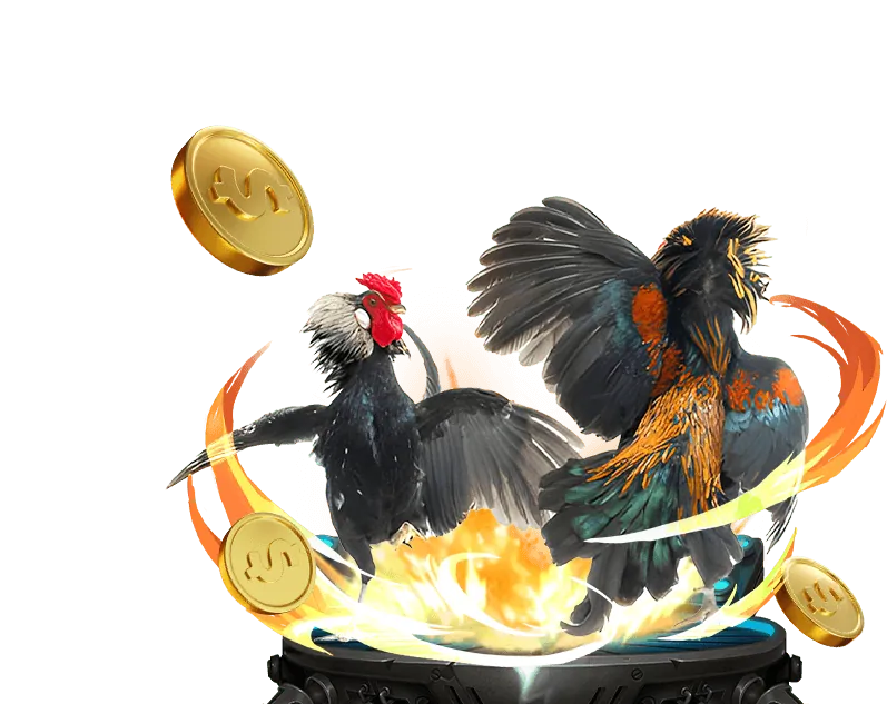 Cá cược bóng đá BG88